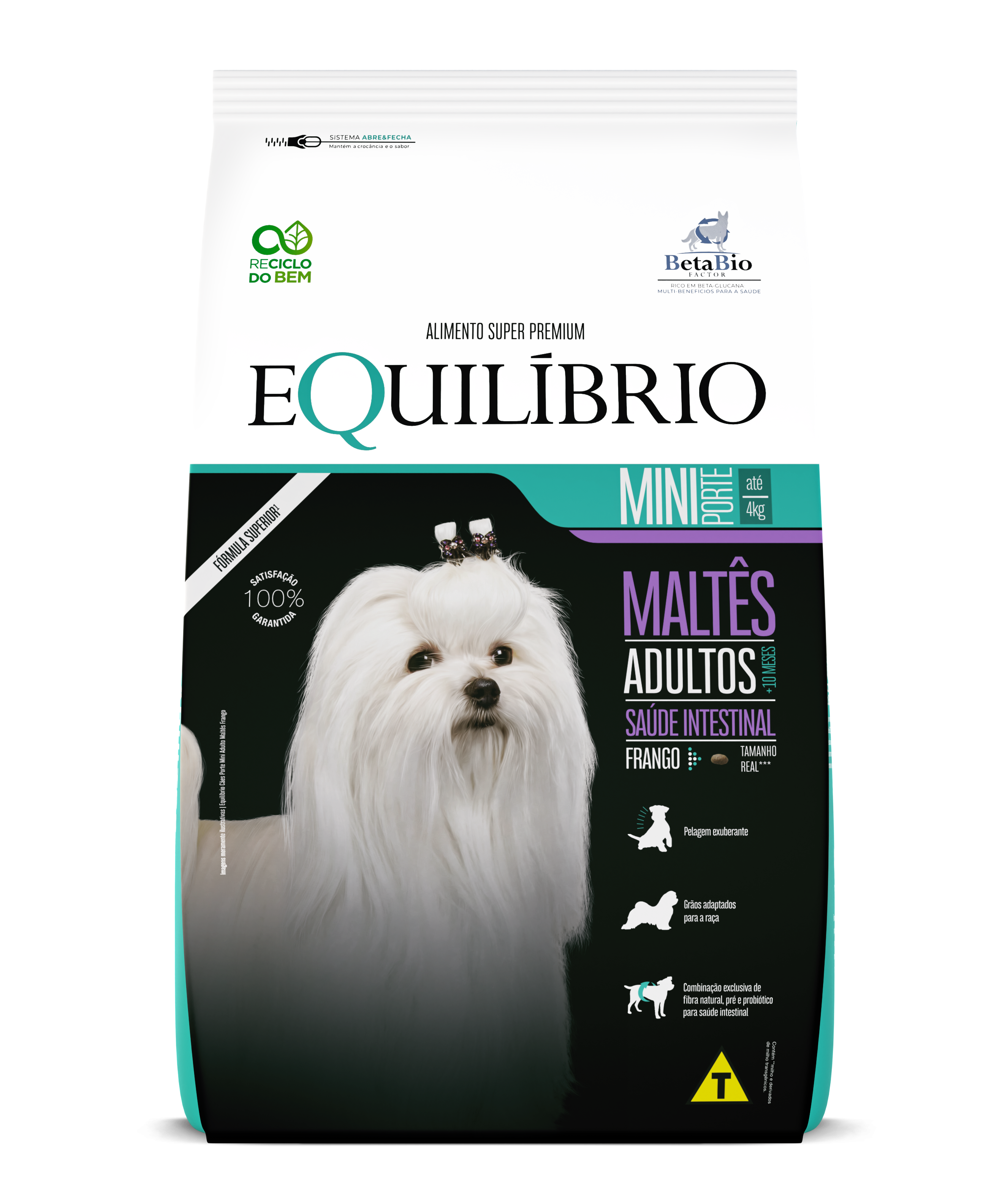 Cães Minis Maltês Adulto