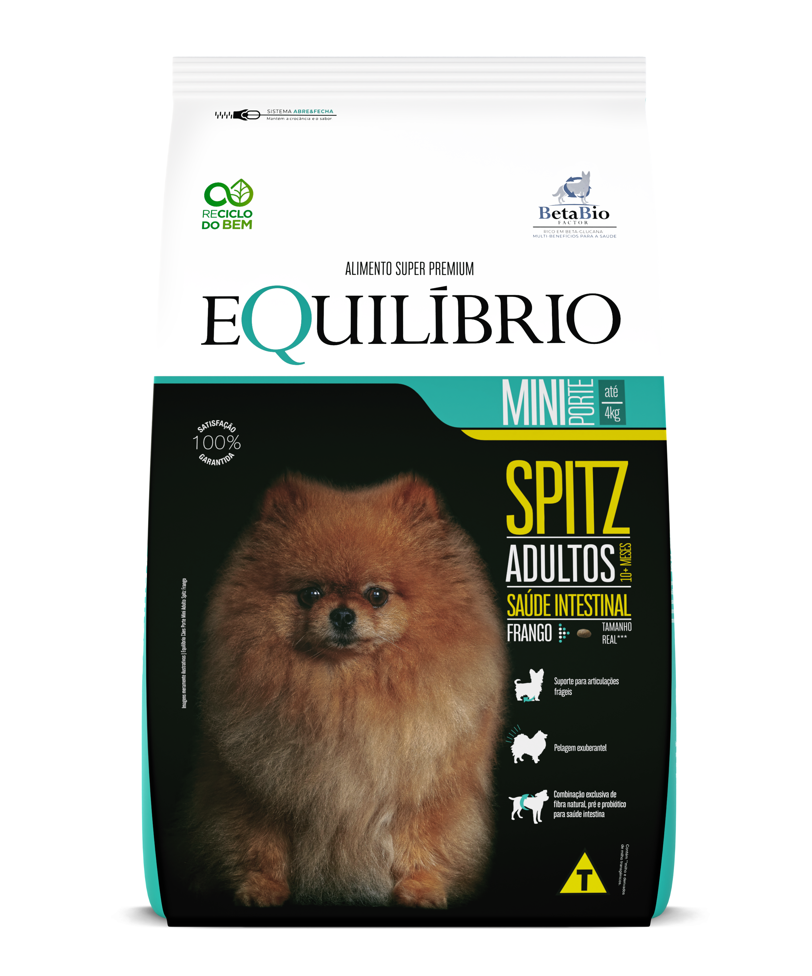 Cães Minis Spitz Adulto