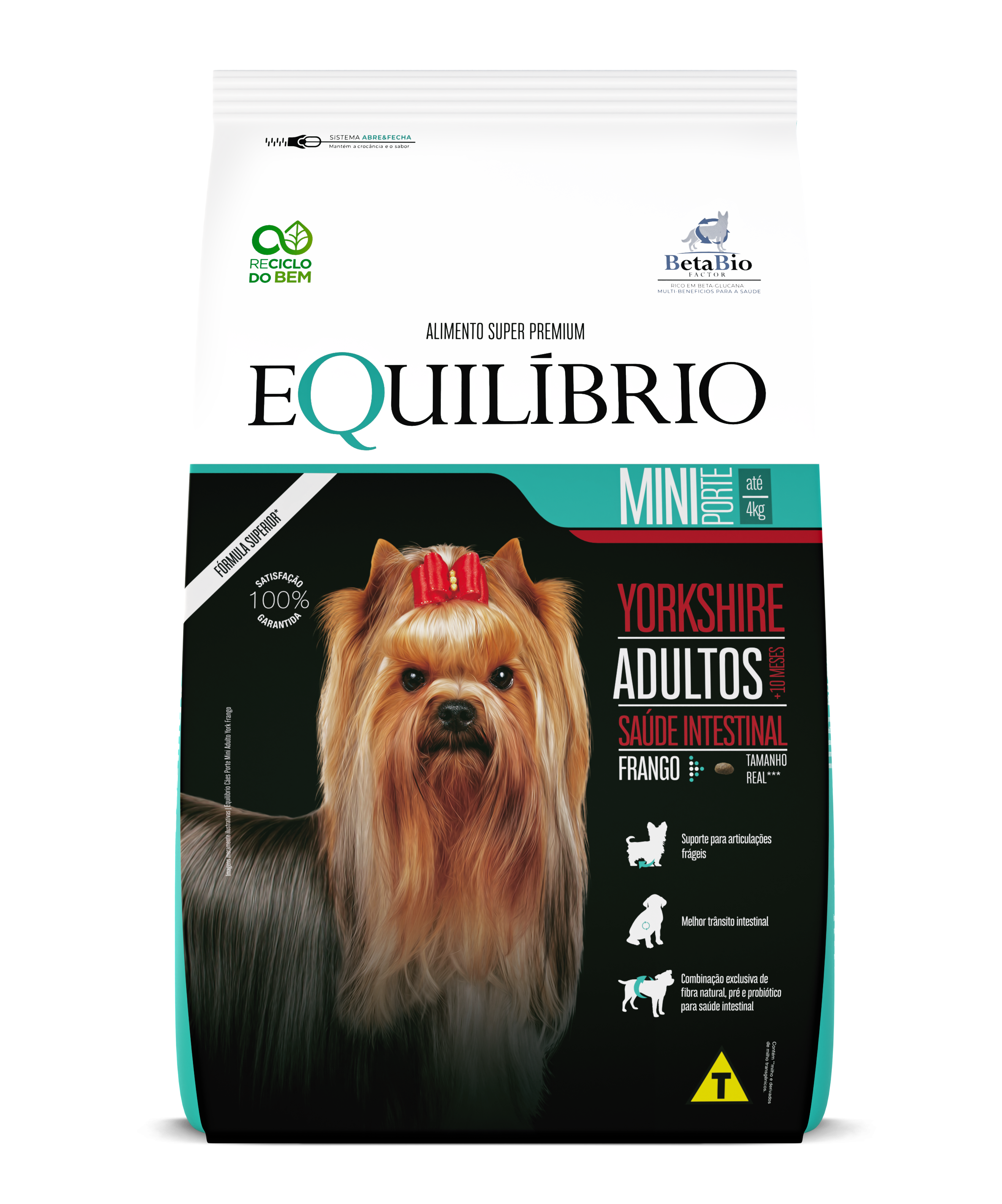 Cães Minis Yorkshire Adulto